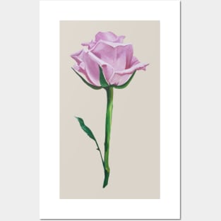 Pink Rose Posters and Art